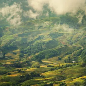 Sapa landscape Sapa landscape