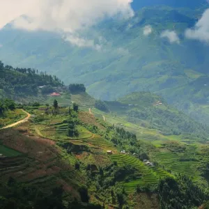 Sapa Sapa