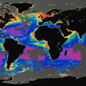 Satellite Image Print of Seasonal Changes Satellite Image Print of Seasonal Changes
