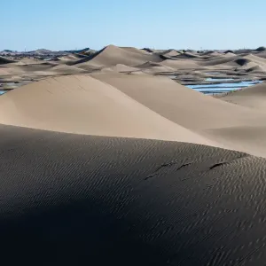 The scenery of the desert The scenery of the desert