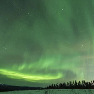 Scenic landscape with Aurora Borealis, Fairbanks, Alaska, USA