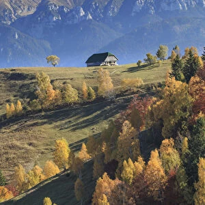 Scenic landscape of mountain range and house, Piatra Craiului National Park, Magura, Carpathian Mountains, Brasov, Brasov County, Transylvania, Romania