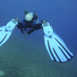 Scuba diver swimming above seabed, rear view