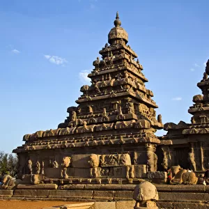 Sculptures around a temple, Shore Temple, Mahabalipuram, Kanchipuram District, Tamil Nadu, India
