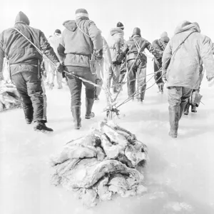 Images Dated 1979 March: 15 Mar 1979