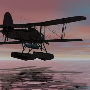 Seaplane Landing Print