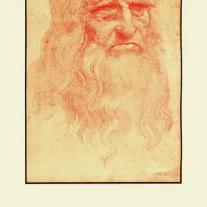 Self Portrait of Leonardo Da Vinci