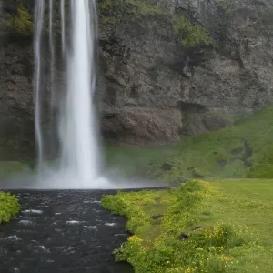 Seljalandsfoss waterfall, Iceland, Europe Seljalandsfoss waterfall, Iceland, Europe