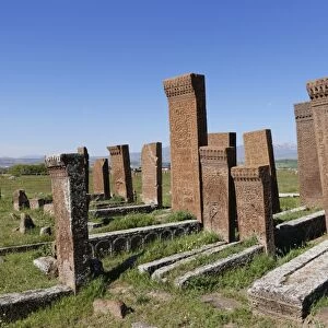 Seljuk cemetery or Selcuklu Mezarligi, Ahlat, Bitlis Province, Eastern Anatolia Region, Anatolia, Turkey
