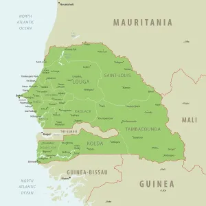 Senegal Map Print - Detailed Country Art Illustration Senegal Map Print - Detailed Country Art Illustration