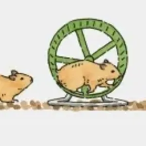 Sequence of illustrations showing playful guinea pig in toilet paper tube and exercise wheel