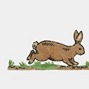 Sequence of illustrations showing rabbit running, hopping, digging, and rearing up
