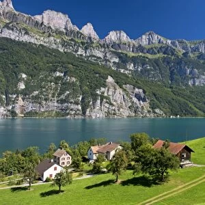 Settlement on Lake Walen in front of the Churfirsten range near Mols, Canton of St. Gallen, Switzerland