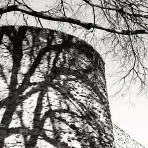 Shadow of a tree on an adjacent stone wall