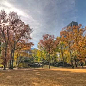 Matthew Carroll Photography