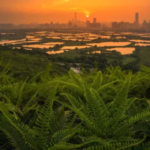Shenzhen skyline looking from hongkong country side Shenzhen skyline looking from hongkong country side