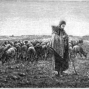 The shepherdess, Jean Francois Millet The shepherdess, Jean Francois Millet