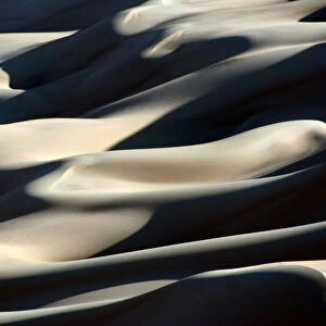 Shifting Sands of the Libyan Sahara