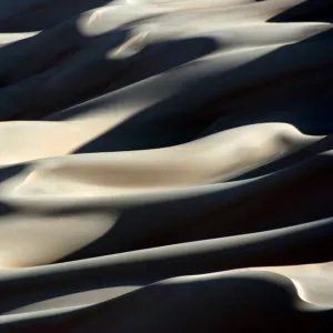 Shifting Sands of the Libyan Sahara