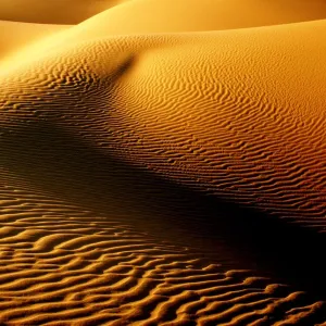 Shimmering Sahara, Libya