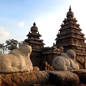 Shore temple at Mahabalipuram in early morning