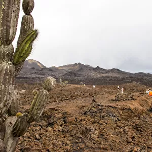 Sierra Negra volcano on Isla Isabela