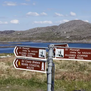 Signpost near Allihies, Slieve Miskish Mountains, Beara Peninsula, County Cork, Ireland, British Isles, Europe Signpost near Allihies, Slieve Miskish Mountains, Beara Peninsula, County Cork, Ireland, British Isles, Europe