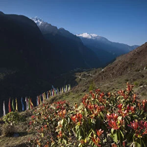 Sikkim in summer season