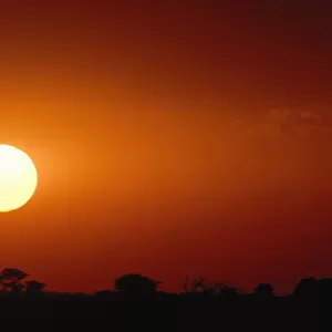 Silhouette of an African Landscape Under a Dramatic Sunset