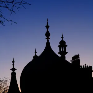 Silhouette Brighton Pavilion