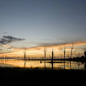 Silhouette of trees by lake, Matusadona National Park, Lake Kariba, Zimbabwe