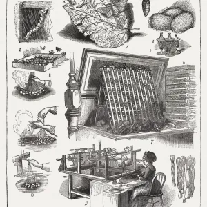 Silk Production Print, 1877 Wood Engraving Silk Production Print, 1877 Wood Engraving