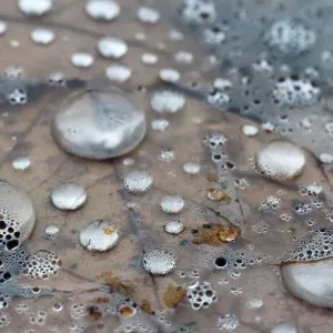 silvery droplets silvery droplets