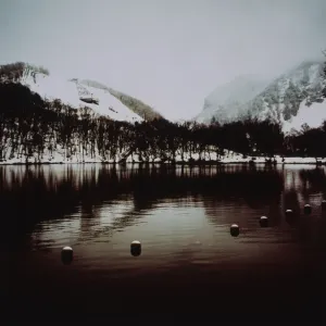 Silvia Otte Photography Limited Edition Print Silvia Otte Photography Limited Edition Print
