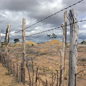 Simple barbed wire fence at a barren pasture, Lencois, Bahia, Brazil