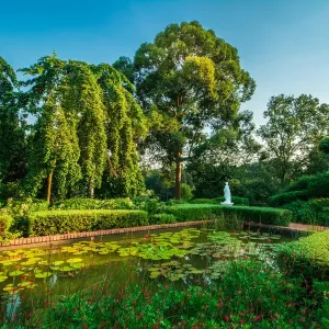 Singapore Botanic Gardens Pond Print Singapore Botanic Gardens Pond Print