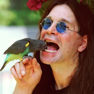 Singer Ossy Osbourne at home in Beverly Hills, California Singer Ossy Osbourne at home in Beverly Hills, California