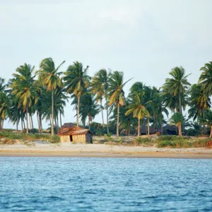 A Single Fishing Hut on the Beach