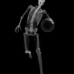 Skeleton playing basketball, artwork Skeleton playing basketball, artwork