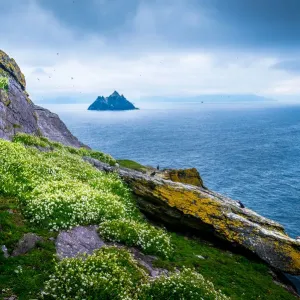 Skellig Michael Island Print: View of Little Skellig from Great Skellig Skellig Michael Island Print: View of Little Skellig from Great Skellig