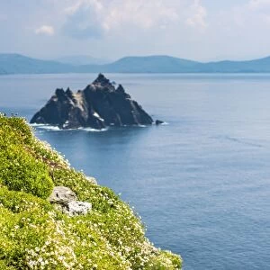 Skellig Michael (Great Skellig), Skellig islands, County Kerry, Munster province, Ireland, Europe. A puffin on the green cliffs with little Skellig on the background