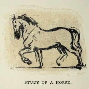 Sketch by Leonardo da Vinci, renaissance art, Study of a horse Sketch by Leonardo da Vinci, renaissance art, Study of a horse