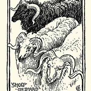 Sketch of Sheep, Greece, 19th Century, Walter Crane