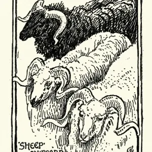 Sketch of Sheep, Greece, 19th Century, Walter Crane Sketch of Sheep, Greece, 19th Century, Walter Crane