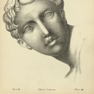 Sketching human face, Classical youth, Victorian art figure drawing copies 19th Century