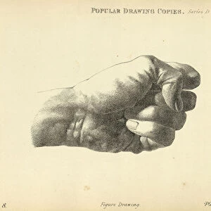 Sketching human hand, clenched fist, Victorian art figure drawing copies 19th Century