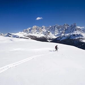 Ski tourer descending Mt Cima Bocche, above Passo Valles, Pala group in the back, Dolomites, Trentino, Italy, Europe