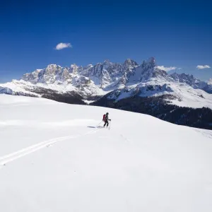 Ski tourer descending Mt Cima Bocche, above Passo Valles, Pala group in the back, Dolomites, Trentino, Italy, Europe