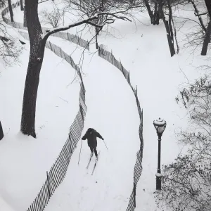 Central Park Cross Country Skier Print Central Park Cross Country Skier Print