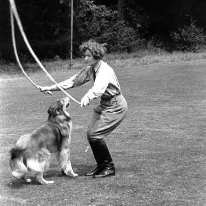 Skipping With Collie